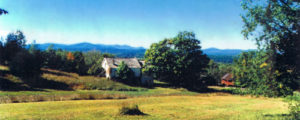 sanctuaryGreen